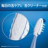 Oral B Toothbrush, Cross Action, Compact (*Color cannot be selected), 1 Piece