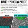 Ollie Clean Mint Nano Hydroxyapatite Toothpaste for Teeth Whitening, 10% Hydroxy
