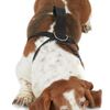 Pets Go 2 Dog Safety Harness For Walking & Car - Medium