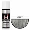 Hair Cubed GRAY Building Fiber + Sealer&Control