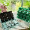 Abaseen Green Visiroot 4 Cell Deep Kit Propagation Maximize Plant Propagation Efficiency with Versatile and High-Performance Solution