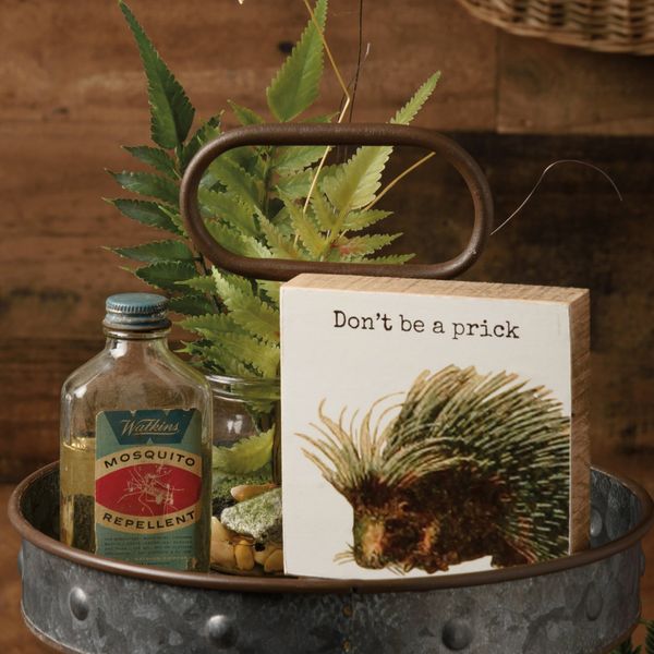 Don't Be A Prick Wooden Block Sign | Porcupine