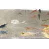 20+2 CULLS Neocaridina Shrimp Blue Juvenile Algae Eater