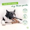 Benebone Bacon Flavor Bone Chew Toy Medium (Import)