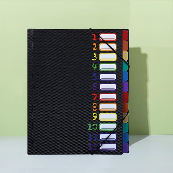 Expanding File A4, Document Folder A4, Portable Expanding Folder with 12 Compartments, Folder System PP Plastic Organiser Folder for School, Office Supplies, Class Sorting / Collection Folder