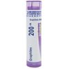 Boiron Graphites 200CK, 80 Pellets, Homeopathic Medicine for Scars