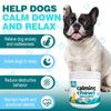 Dog Calming Chews Help Calmness | Relaxation | Anxiety Relief