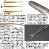 OSP HP Minnow 3.1 in TW218 Constant Wins Fish