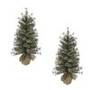 2x Glitter Pre-Lit LED Potted Christmas Tree 3 1/2ft