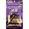 DHC 速攻ブルーベリーV-MAX ブイマックス 30日分