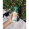 Solar Citronela Newell 100ml
