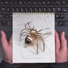 Mechanical Metal DIY 3D Insect Brass Puzzle (Jumping Spider)