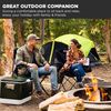 Coleman Portable Camping Chair with 4-Can Cooler - Perfect for Camping, Tailgates, Beach, Sports and More