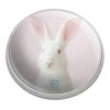 White Rabbit Golfing Premium Metal Golf Ball Marker