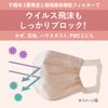 Lilacara Hyper Block Mask, Pink Beige, Regular Size, 30 Pieces, PM2.5 Compatible, 99% Cut Filter, Made in Japan