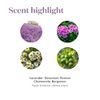 KidScents SleepyIze Essential Oils Blend by Young Living, 5 Milliliters, Topical and Aromatic