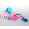 RASCAL Scruffy Tug Buttons - Dog Toy - All Breeds