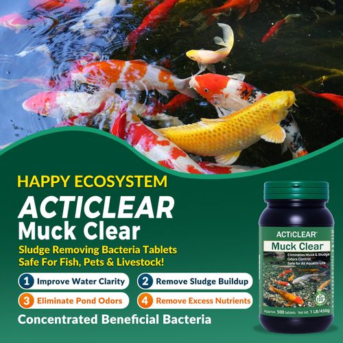 ActiClear Muck Clear – Natural Pond Sludge Treatment, 500 Tablets for Ponds, Fountains & Bird Baths, Beneficial Bacteria & Enzymes, Chemical-Free & Safe for Fish, Pets & Wildlife