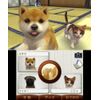 nintendogs + cats トイ・プードル & Newフレンズ - 3DS