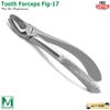Dental Extracting Forceps Fig 17 Surgical Tooth Extraction For Upper Molars New