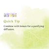 Aura Cacia Essential Oil, Freshening Lime, 0.5 Fluid Ounce