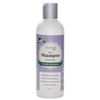 Sulfate Free Daily Shampoo (Lavender Spearmint)