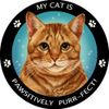 Orange Tabby Shorthair Pet Magnet
