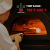 2-Pack Oven Thermometer for Gas Oven, 50-300°C/100-6