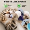PETFROH Interactive Cat Mouse Toy, Indoor Kitten Toys, Automatic Cat Wheel, Rechargeable