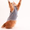 Cat Friendly Cat Clothes Cat Warm Border (Sleeveless) (S, Blue)