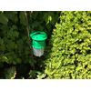 Dragonfli Box Tree Caterpillar Moth Trap - Refill Pheromone Lure