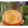 IBIV Organic Large Kombucha Scoby 1 CUP STARTER TEA Makes 1 GALLON