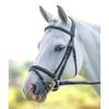 Shires Velociti Padded Raised Flash Bridle: Black: Full
