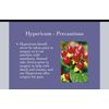 Hypericum Perforatum Cream 1 Pack