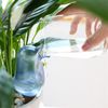 Smart Bird Design Automatic Water Drainer, Home Timer Drip Water Bottle Keeps Flowers Important While Traveling (Blue)