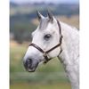 Shires Velocito Gara Ragley Lined Headcollar Hav Full