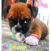 Silly Bandz - Chat Pack - 24-count