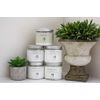 White Egret Citrus Pharmaceutical Grade Epsom Salt 16oz
