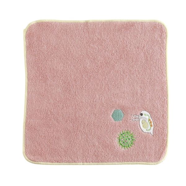 Green Flash STUDY HOLIC Towel Handkerchief Microbiology ST-298