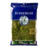 SuperMoss (21582) Sheet Moss Dried, Natural, 8oz