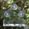 AB Tools Hanging Window Wild Bird Feeder Table Clear Viewing Perspex 3 Suction Pads 4pk