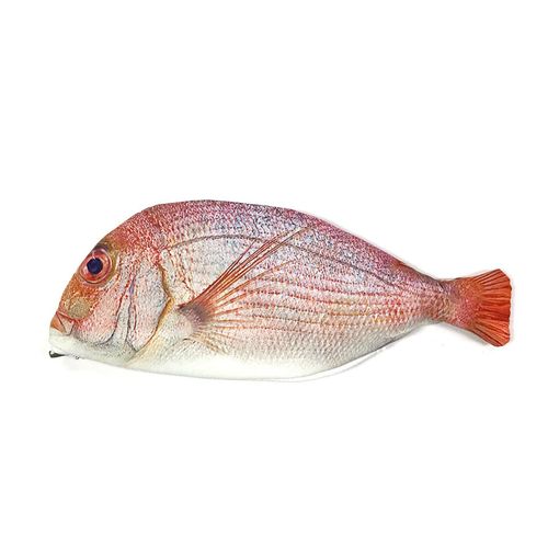 ALLYDREW Fish Pencil Case Novelty Pouch Fish Shaped Zipper Pencil Pouch, Pink Fish