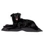 Back on Track Dog Bed Cage, 55x38, black