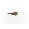 Schleich Wildlife Iguana 14854
