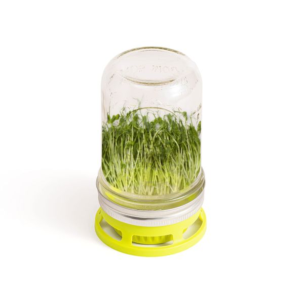 Jarware Seed Lid Set of 2