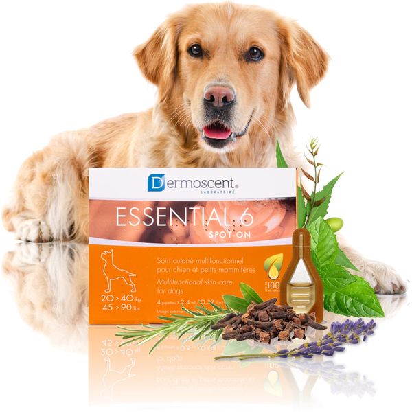 Dermoscent Essential 6 spot-on - Dog Skin Care for Dandruff & Allergy Relief with Vitamin E Oil - Anti Itch for Dogs - Natural Ingredients for Sensitive Skin - Dogs 20-40 kg - 4 Pipettes of 2.4 ml