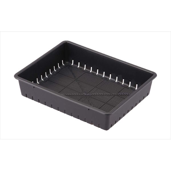 Appleware Tray, Seeding Box, Type 35, Soil Capacity, 3L, Depth 13.6 x Width 10.6 x Height 3.0 inches (3 L), Depth 13.6 x Width 10.6 inches (27 cm) x Height 3.0 inches (7.5 cm), Sprouts, Seed Seeds,