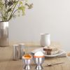 REOVE Egg Cups Set Stainless Steel Soft Boiled Egg Cups Holder Stand Egg Cup Tray Include 4 Eggs Kitchen (Silver)