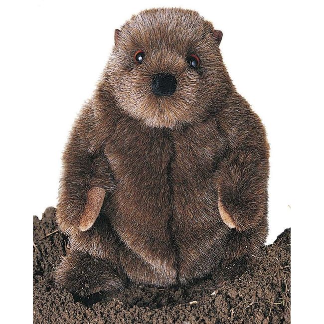 Douglas Chuckwood Groundhog Plush Stuffed Animal