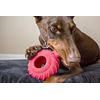 Jolly Tuff Treader - 11.5cm - Small